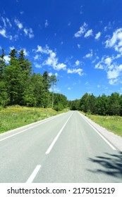 Empty road through the forest
