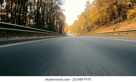 Empty road through a forest captured with motion blur. A dynamic shot of an empty road cutting through a dense forest, with the camera capturing motion blur to emphasize speed and movement.