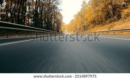Empty road through a forest captured with motion blur. A dynamic shot of an empty road cutting through a dense forest, with the camera capturing motion blur to emphasize speed and movement.