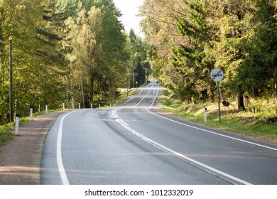 Empty road through the forest on a sunny day