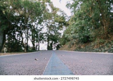 Empty Road Through a Forested Path, West Lake in Huizhou, Guangdong Province, China, is a tourist attraction featuring ancient architecture.