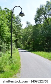 empty road through spring trees and bushland