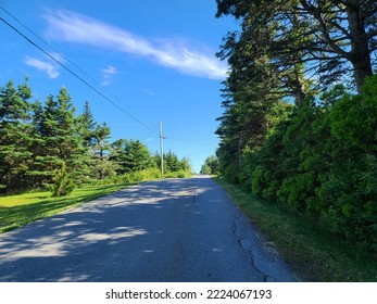 An empty road with trees surrounding it and power lines on one side. - Powered by Shutterstock