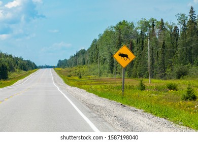 empty road view, with a warning for moose crossing the road sign with transmission towers and pine trees forest on the roadside - Powered by Shutterstock