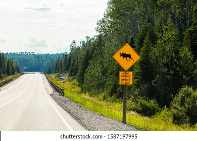 empty road, with a warning for moose crossing the road, night danger Bilingual sign view, pine trees forest on the roadsides - Powered by Shutterstock