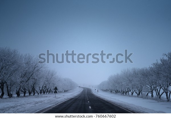 Empty\
road in the winter, ground and trees covered\
snow.