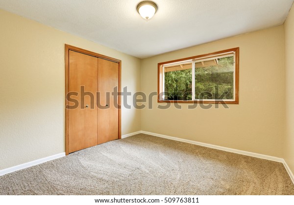 Empty Room Built Wardrobe Carpet Floor Stock Photo Edit Now