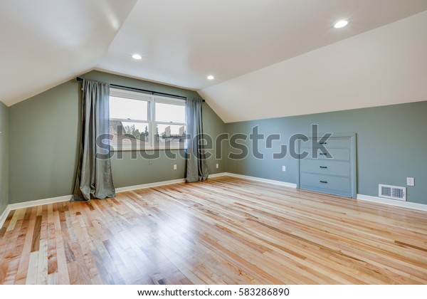 Empty Room Features Green Walls Paint Stock Photo Edit Now 583286890