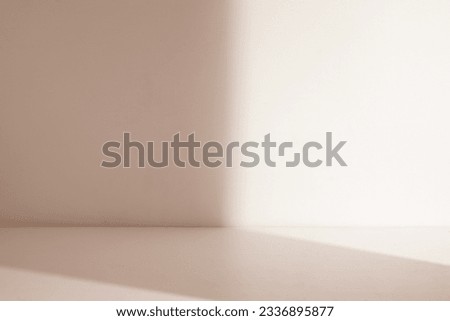 Empty room with half shadow for display