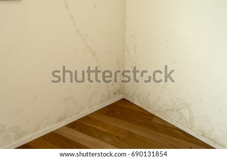 Empty Room New Apartment Wooden Floor Stock Photo Edit Now