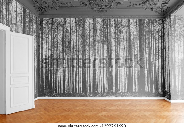empty room with photo wallpaper with forest landscape photography 