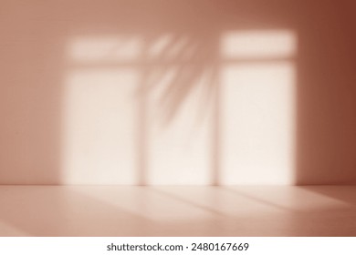 empty room with a window shadow background