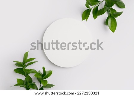 Empty round podium and green leaves on light grey background top view. Pedestal and fresh natural branches for cosmetic advertising. Eco product presentation mockup. Top view. Minimal flat lay.