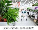 Empty Row Of Gardening Supermarket With Home Plants And Flowers