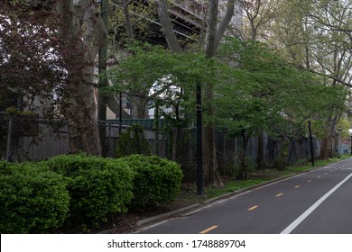 Empty Running Trail With Green Trees During Spring In Long Island City Queens New York