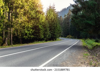 Empty Rural Highway Alpine Mountan Road At High Coniferous Pine Tree Bottom POV. Scenic Abstract Forest Roadway Landscape Foggy Spring Morning. European Nature Travel Car Concept. Nobody Car Scene