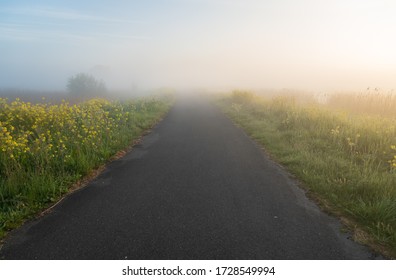 Empty rural road during a foggy, spring sunrise.