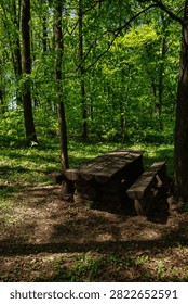 Empty Rustic Wooden Picnic Table Surrounded by Lush Green Trees in a Sunlit Forest