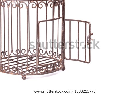 Empty rusty birdcage on white background, isolated