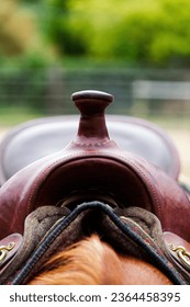 Empty Saddle On Horse Back Outdoors Showing Pommel With Out-Of-Focus Green Background