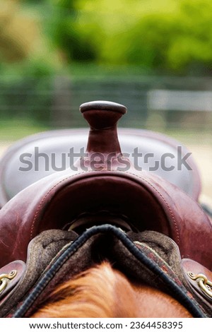 Empty Saddle On Horse Back Outdoors Showing Pommel With Out-Of-Focus Green Background