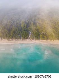     Empty sand beach in front of summer sea  with copy space 