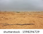 Empty sandy beach by the river with an old tree branch in the foreground. Quiet landscape in warm colors. Sandy beach and river landscape
