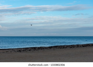 Naked Couple On Beach Hawaii - Surf Naked Images, Stock Photos & Vectors | Shutterstock