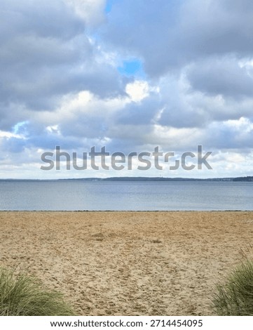 Empty sandy beach with dune grass on both sides leading to a calm sea under a dramatic cloudy sky on a cool day. Vertical coastal landscape with copy space, symbolizing solitude, escape, off-season.