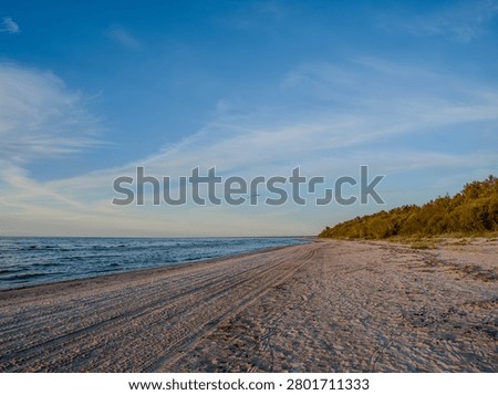 Empty sandy beach stretching along the Baltic Sea coast with a green pine forest treeline glowing in warm evening light under a blue sky