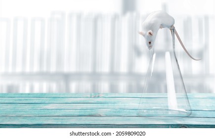 Empty Science Laboratory Test Tubes, Chemical Laboratory Equipment. Research