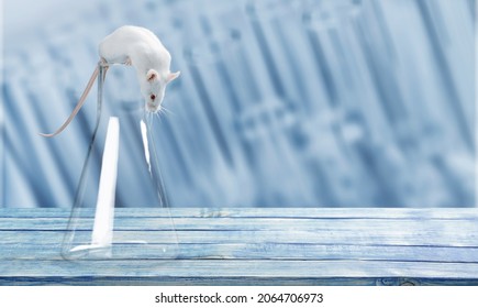 Empty Science Laboratory Test Tubes, Chemical Laboratory Equipment. Research