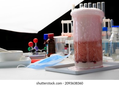 Empty Science Laboratory Test Tubes, Chemical Laboratory Equipment. Research