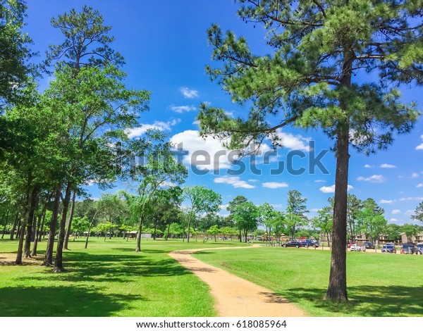Empty s-curved trail through grassy urban park\
with row of pine, oak trees  during daytime, blue cloud sky in\
Humble, Texas, US. Unidentified cars are visible at the parking lot\
in the far left corner