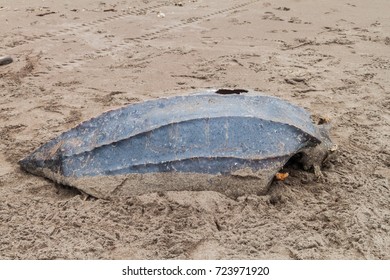 Empty Shell Of A Dead Leatherback Sea Turtle (Dermochelys Coriacea) At A Beach In Tortuguero National Park, Costa Rica