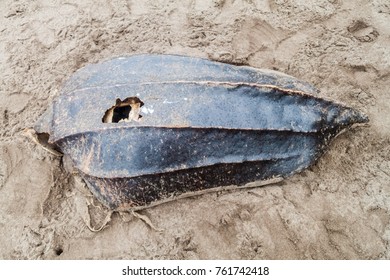 Empty Shell Of A Dead Leatherback Sea Turtle (Dermochelys Coriacea) At A Beach In Tortuguero National Park, Costa Rica