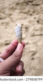 an empty shell held in fingers on the beach