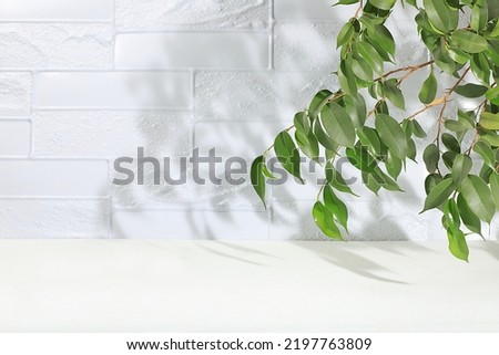 Empty showcase for display or presentation of cosmetic products, scene for design, abstract background with tropical leaves and shadows, modern creative display,