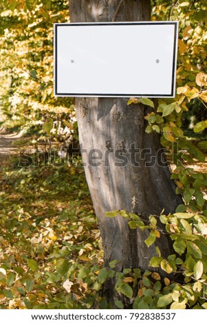 Similar – Image, Stock Photo adrenaline rush Summer