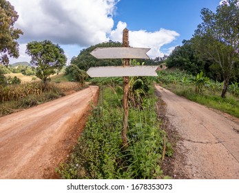 Empty Sign On The Road In Nature, To Add A Message . The Two Signs Indicate The Same Direction.