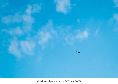 Empty Sky High Res Stock Images Shutterstock