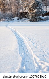 Empty Sled Track In Snow At Winter Day