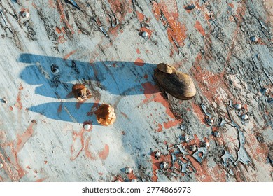 Empty snail shell and two stones casting long shadows on weathered peeling paint