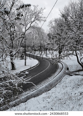 Similar – blow snow Landscape Winter