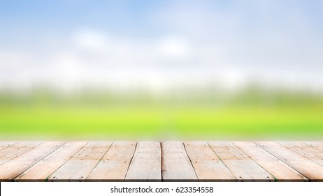 Empty Space Green Forest Sunset Stock Photo 623354558 | Shutterstock