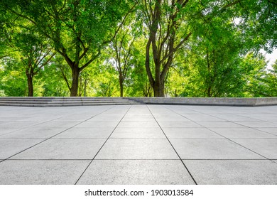 Empty Square Floor And Green Forest In City Park.