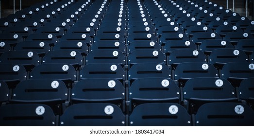 Empty Stadium Seats Minor League Baseball