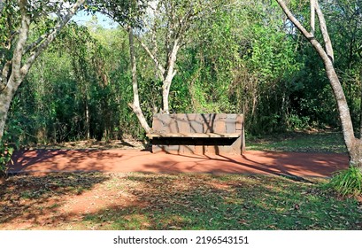 Empty Stone Bench On The Hiking Trial Of Iguasu National Park, Puerto Iguazu, Argentina, South America