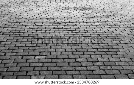 Empty of stone brick road