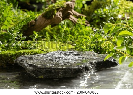 An empty stone platform is placed on the water with a forest floor, moss, ferns and trees behind. Cool natural scenery and space for product display. Front view